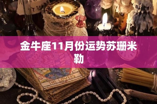 金牛座11月份运势苏珊米勒