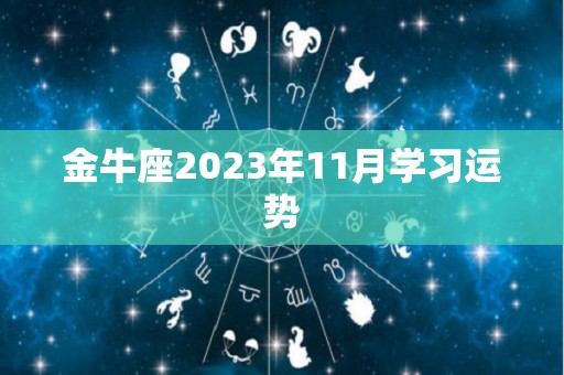 金牛座2023年11月学习运势