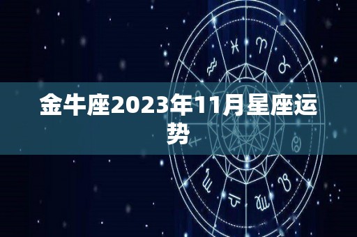 金牛座2023年11月星座运势