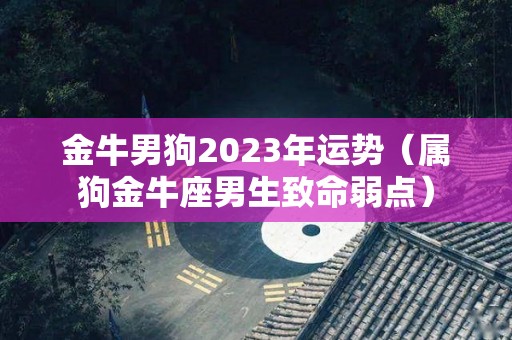 金牛男狗2023年运势（属狗金牛座男生致命弱点）