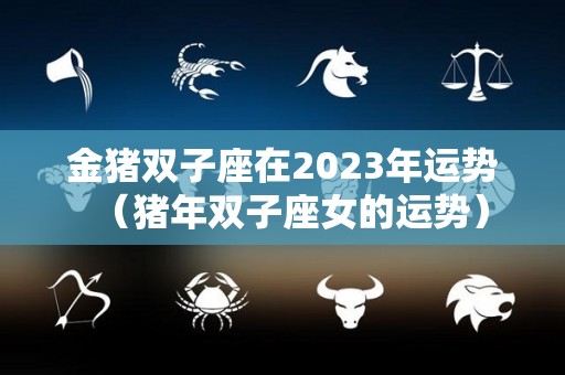 金猪双子座在2023年运势（猪年双子座女的运势）