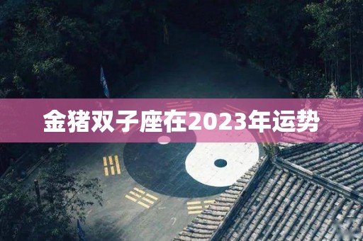 金猪双子座在2023年运势