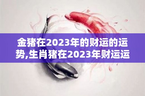 金猪在2023年的财运的运势,生肖猪在2023年财运运势分析