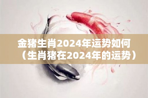 金猪生肖2024年运势如何（生肖猪在2024年的运势）