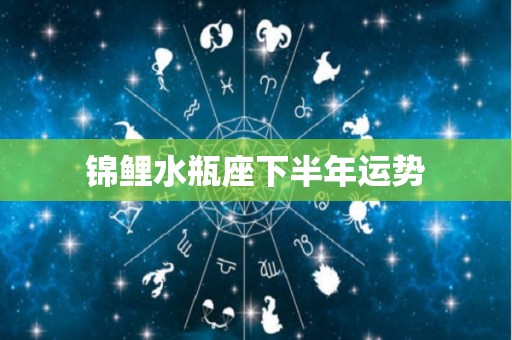 锦鲤水瓶座下半年运势