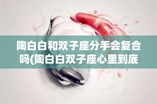 陶白白和双子座分手会复合吗(陶白白双子座心里到底有没有你)