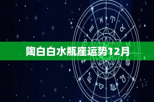 陶白白水瓶座运势12月