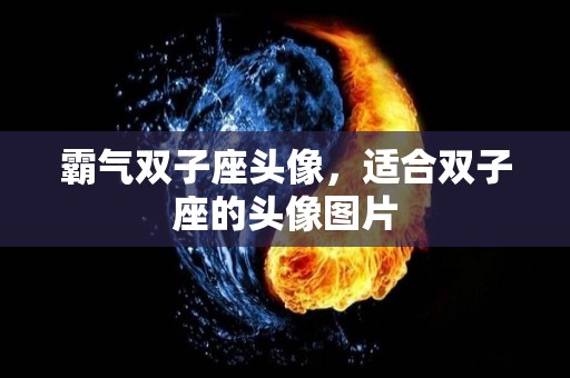 霸气双子座头像，适合双子座的头像图片