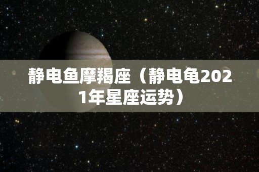 静电鱼摩羯座（静电龟2021年星座运势）