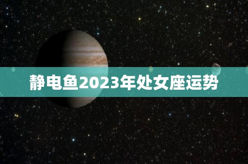 静电鱼2023年处女座运势