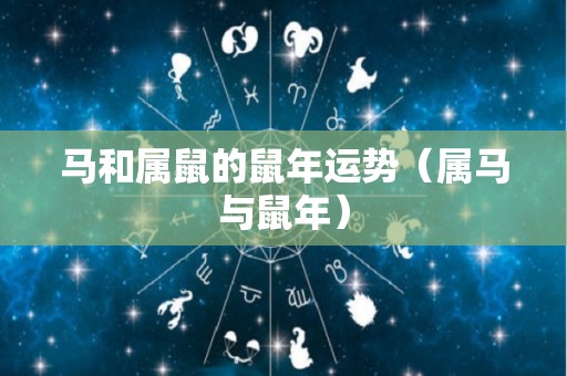 马和属鼠的鼠年运势（属马与鼠年）