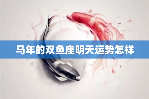 马年的双鱼座明天运势怎样