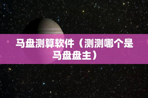 马盘测算软件（测测哪个是马盘盘主）