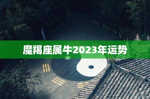 魔羯座属牛2023年运势