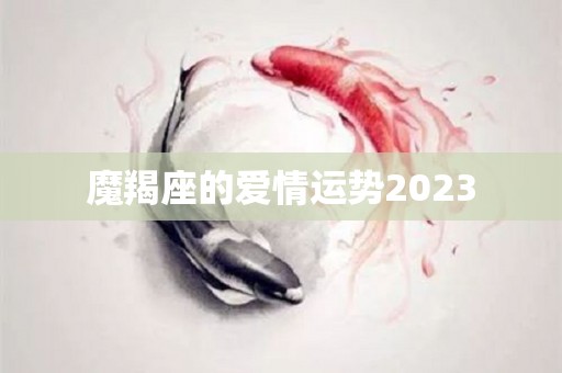 魔羯座的爱情运势2023