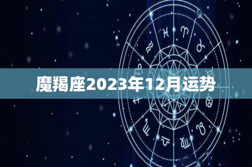 魔羯座2023年12月运势