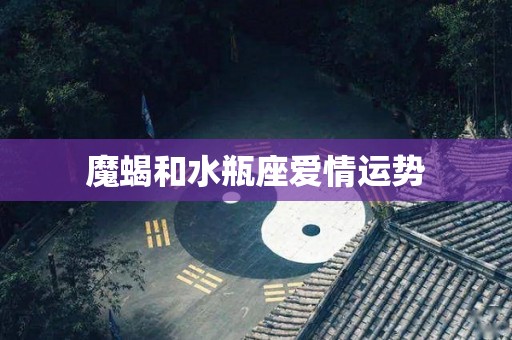 魔蝎和水瓶座爱情运势