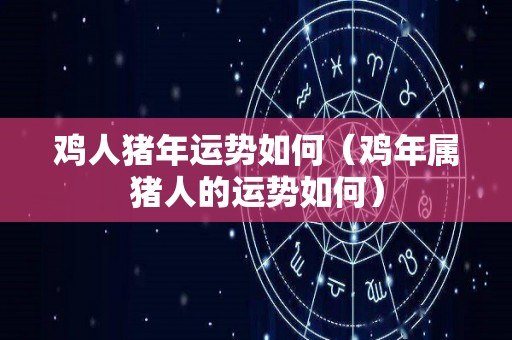 鸡人猪年运势如何（鸡年属猪人的运势如何）