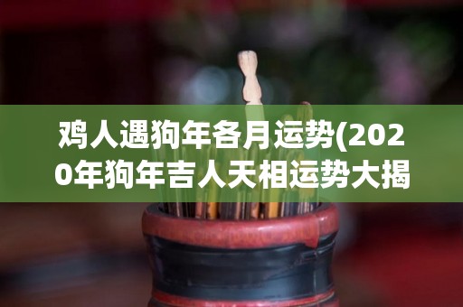 鸡人遇狗年各月运势(2020年狗年吉人天相运势大揭秘)
