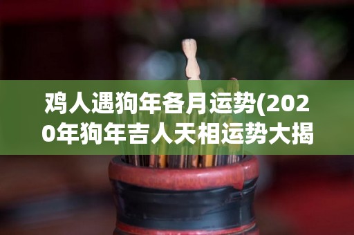 鸡人遇狗年各月运势(2020年狗年吉人天相运势大揭秘)