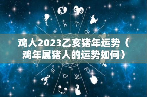 鸡人2023乙亥猪年运势（鸡年属猪人的运势如何）