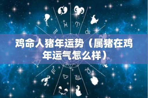 鸡命人猪年运势（属猪在鸡年运气怎么样）