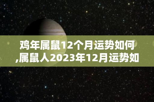 鸡年属鼠12个月运势如何,属鼠人2023年12月运势如何？