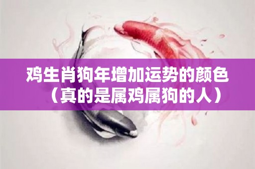 鸡生肖狗年增加运势的颜色（真的是属鸡属狗的人）