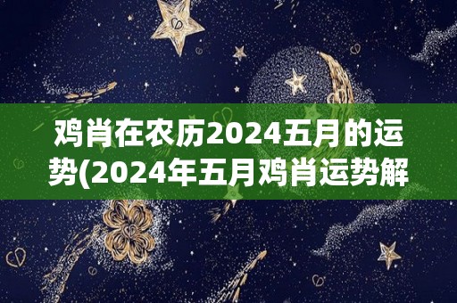 鸡肖在农历2024五月的运势(2024年五月鸡肖运势解析)