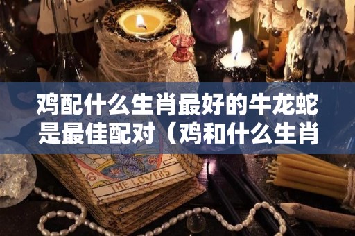 鸡配什么生肖最好的牛龙蛇是最佳配对（鸡和什么生肖绝配）