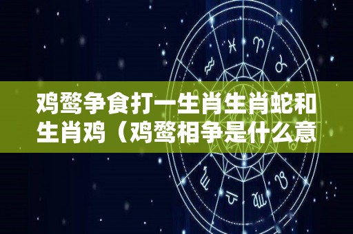 鸡鹜争食打一生肖生肖蛇和生肖鸡（鸡鹜相争是什么意思）
