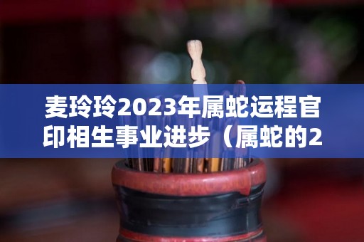麦玲玲2023年属蛇运程官印相生事业进步（属蛇的2023年运势）