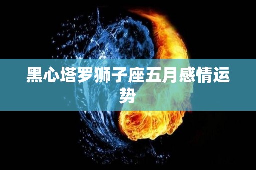 黑心塔罗狮子座五月感情运势
