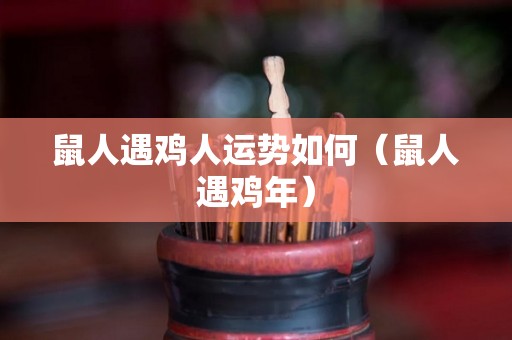 鼠人遇鸡人运势如何（鼠人遇鸡年）