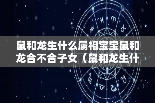 鼠和龙生什么属相宝宝鼠和龙合不合子女（鼠和龙生什么宝宝最好）