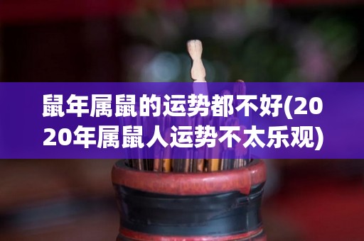 鼠年属鼠的运势都不好(2020年属鼠人运势不太乐观)