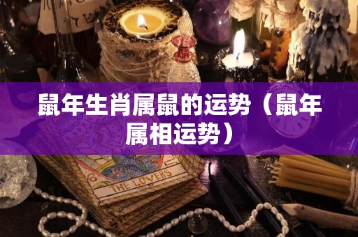 鼠年生肖属鼠的运势（鼠年属相运势）