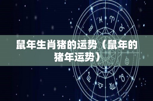 鼠年生肖猪的运势（鼠年的猪年运势）