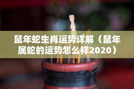 鼠年蛇生肖运势详解（鼠年属蛇的运势怎么样2020）