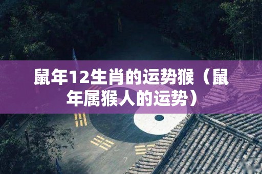 鼠年12生肖的运势猴（鼠年属猴人的运势）