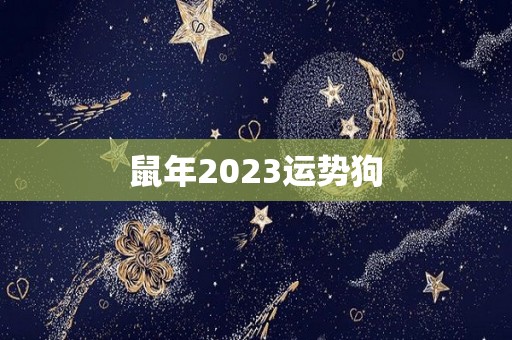 鼠年2023运势狗