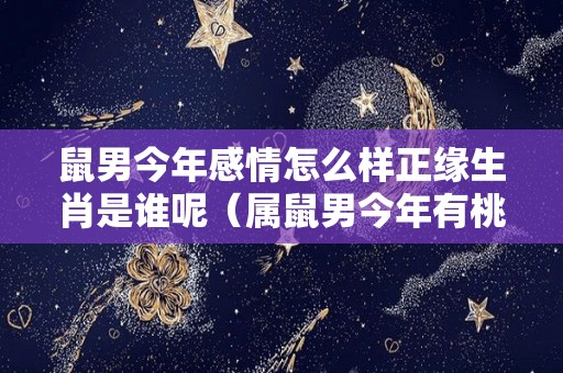 鼠男今年感情怎么样正缘生肖是谁呢（属鼠男今年有桃花运吗）