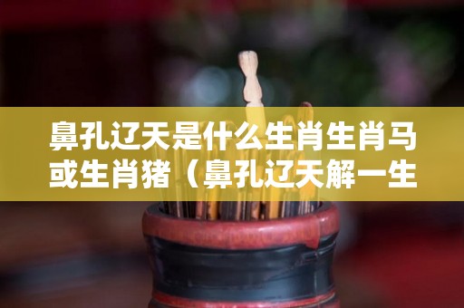鼻孔辽天是什么生肖生肖马或生肖猪（鼻孔辽天解一生肖）