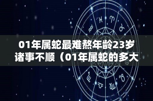 01年属蛇最难熬年龄23岁诸事不顺（01年属蛇的多大年龄）