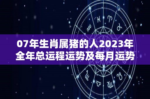 07年生肖属猪的人2023年全年总运程运势及每月运势（07年属猪2021年运势及运程）