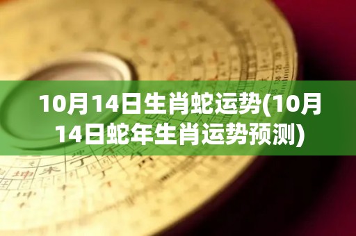 10月14日生肖蛇运势(10月14日蛇年生肖运势预测)