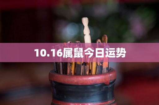 10.16属鼠今日运势