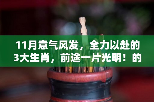 11月意气风发，全力以赴的3大生肖，前途一片光明！的简单介绍