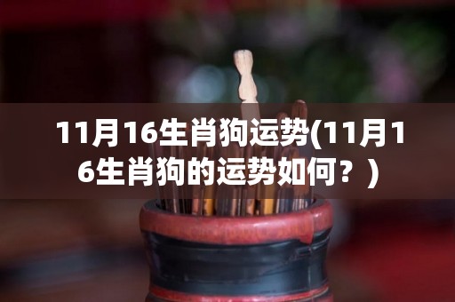 11月16生肖狗运势(11月16生肖狗的运势如何？)