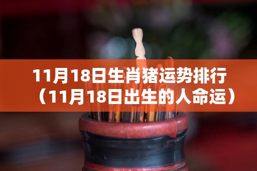 11月18日生肖猪运势排行（11月18日出生的人命运）